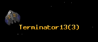 Terminator13