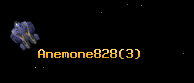 Anemone828