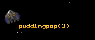 puddingpop