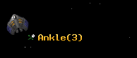 Ankle