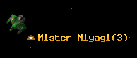 Mister Miyagi