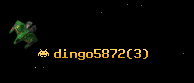 dingo5872
