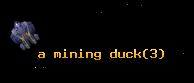 a mining duck