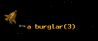a burglar