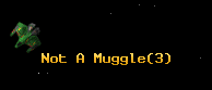Not A Muggle