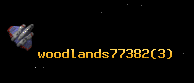 woodlands77382