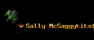 Sally McSaggytits
