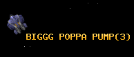 BIGGG POPPA PUMP