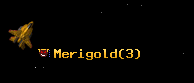 Merigold