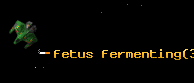 fetus fermenting