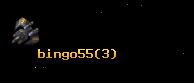 bingo55