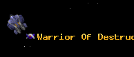 Warrior Of Destructi