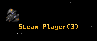 Steam Player