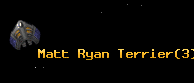 Matt Ryan Terrier