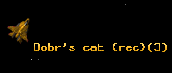 Bobr's cat {rec}