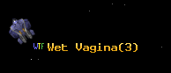 Wet Vagina