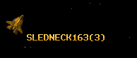 SLEDNECK163