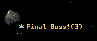 Final Boss!