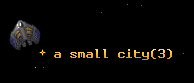 a small city