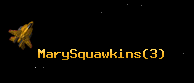 MarySquawkins