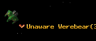 Unaware Werebear