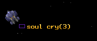 soul cry