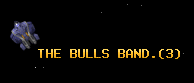 THE BULLS BAND.