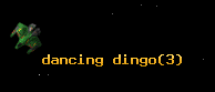 dancing dingo