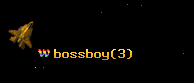 bossboy