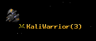 KaliWarrior