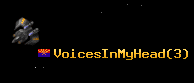 VoicesInMyHead