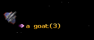 a goat
