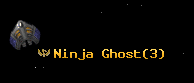 Ninja Ghost