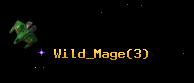 Wild_Mage