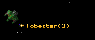Tobester