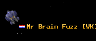 Mr Brain Fuzz [WK]