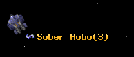 Sober Hobo
