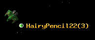 HairyPencil22