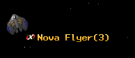 Nova Flyer