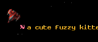 a cute fuzzy kitten