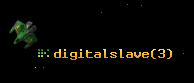 digitalslave