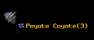 Peyote Coyote
