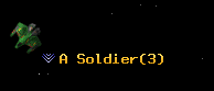 A Soldier