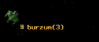 burzum