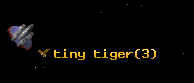 tiny tiger