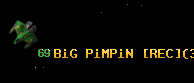 BiG PiMPiN [REC]