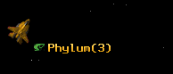 Phylum