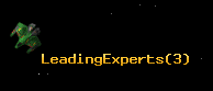 LeadingExperts