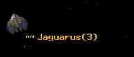 Jaguarus