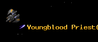 Youngblood Priest